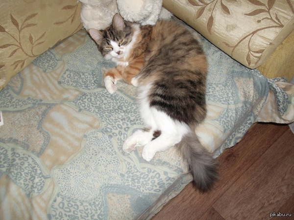 ,      &quot; !&quot;