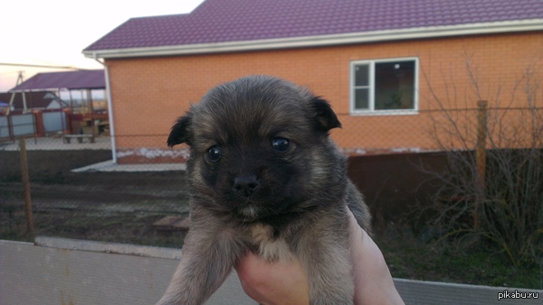 � ���� ������, �� ������, � � ���� ��� ����� �������� ���� ����)) ���� �����