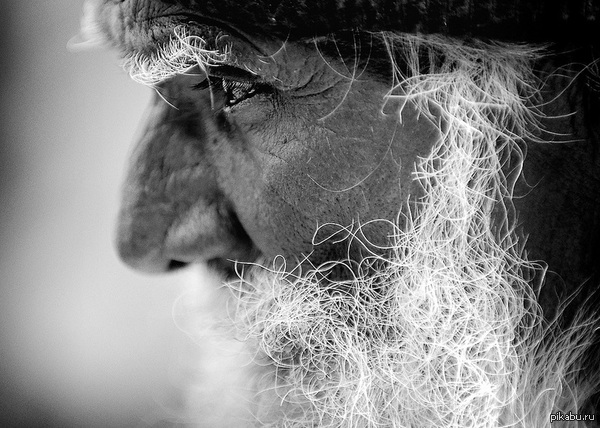 Старость.. | Пикабу