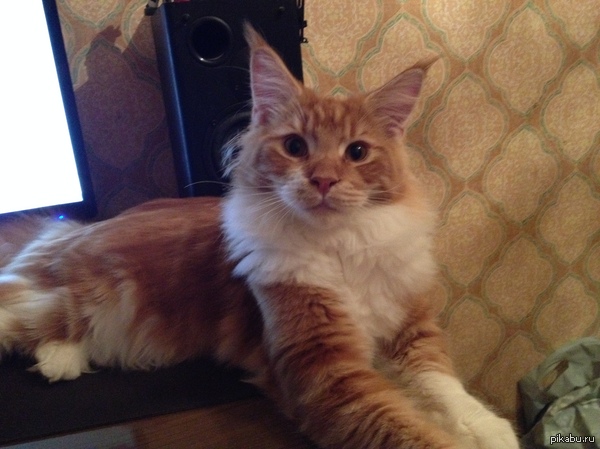 ��� ����� � ���� ��� - Sun Sun'��.