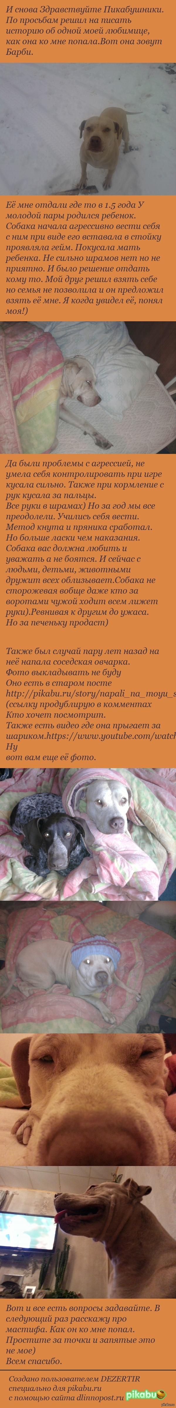 Блондинка: истории из жизни, советы, новости, юмор и картинки — Все посты |  Пикабу