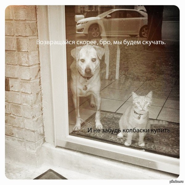 Помни, тебя ждут дома!