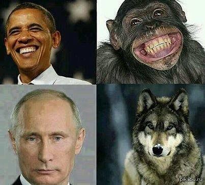 ��� ����