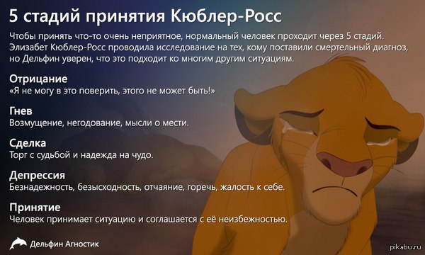 5 стадий принятия Кюблер-Росс