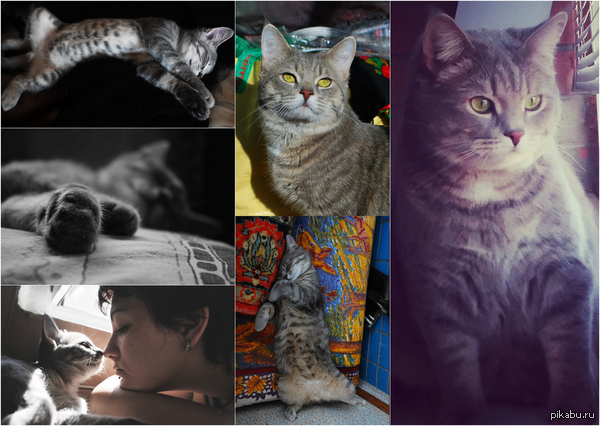 ������ ������� �� ������!