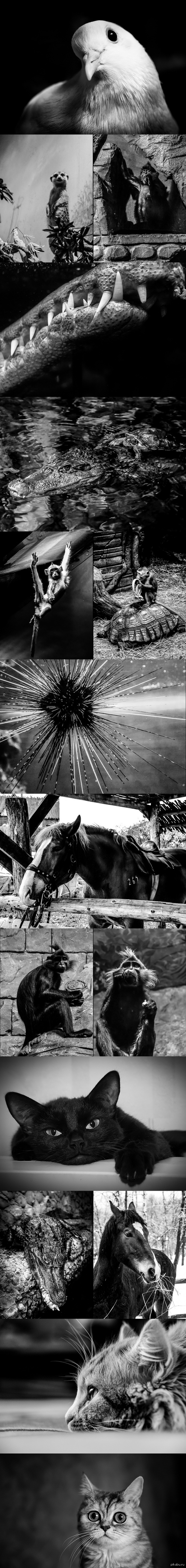 � ��������� �������� ���������� ����� "��" ������ �������� � ��������!