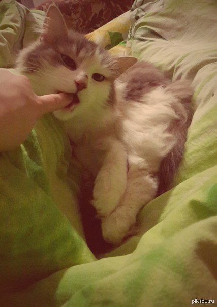 ��� ��� ^^