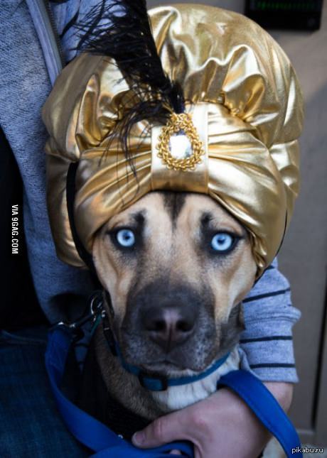 ������ � �����