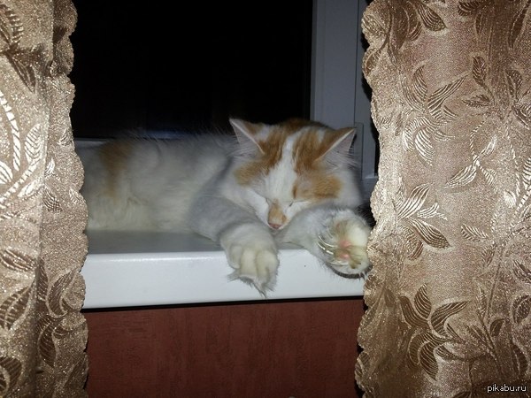 ������, ��� � ���� � ����.