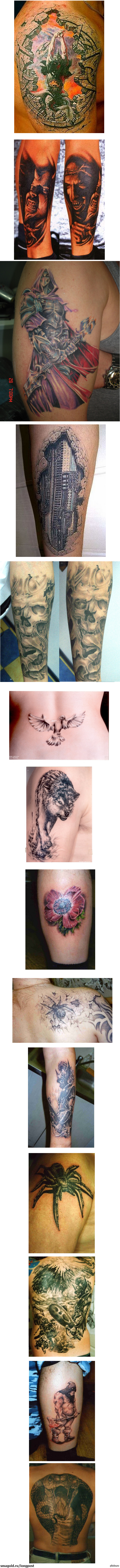 �������� �������� ����������.