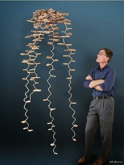 ��� ����� ���������� ��������� :)