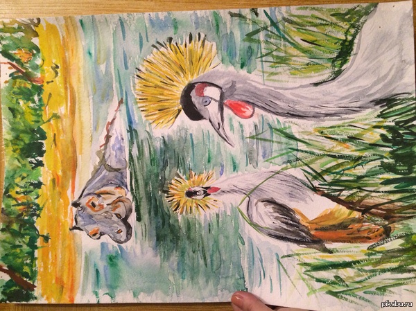 Вот вам две птицы и сиськомордый бегемот:)