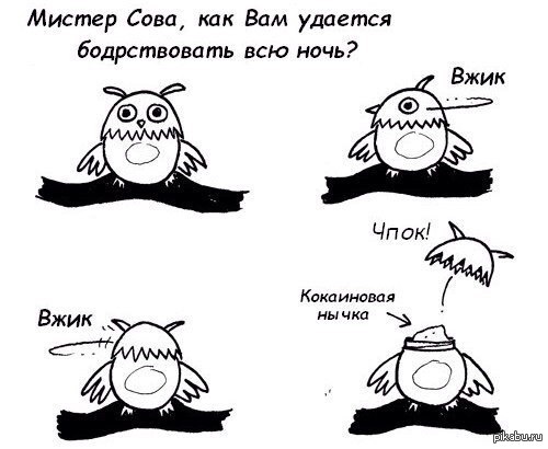 Как сове удается бодрствовать всю ночь? - Сова, Бодрость, Бодрячок, Кокаин