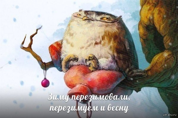 �������������