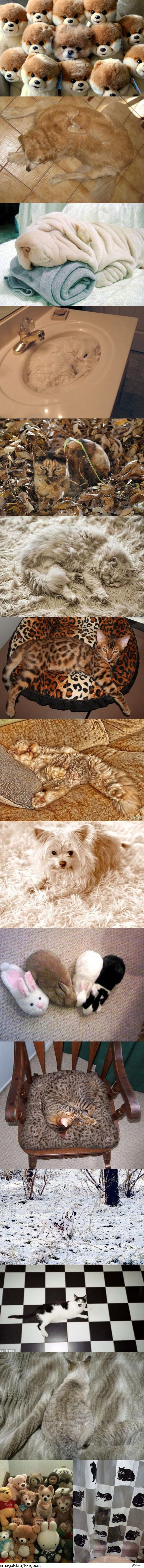 ������� ����������