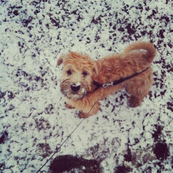 Cocaine, so much cocaine