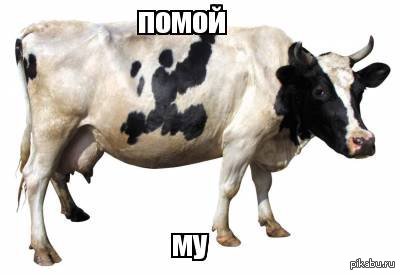      !       ""   (  -       )