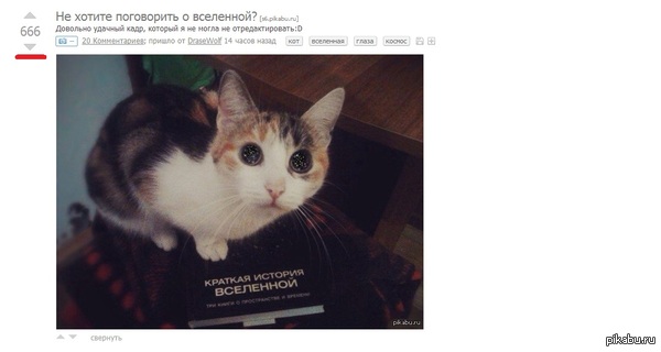 &quot;      &quot;  &quot; &quot;  ?