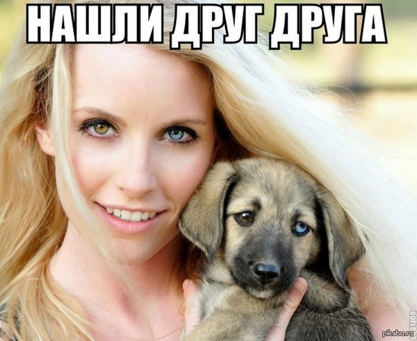 Нашли друг друга.