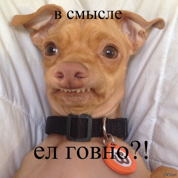 � ������?!