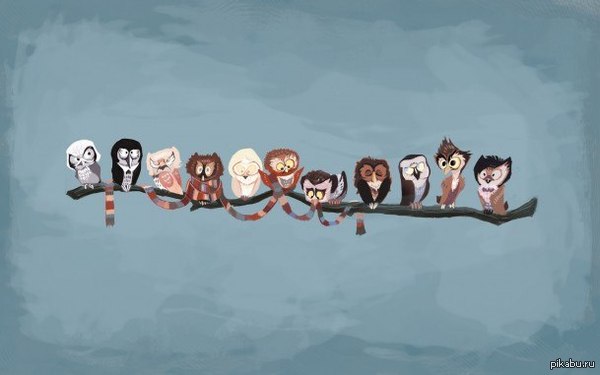 Doctor Owl