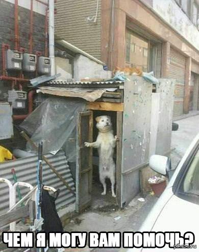 �������� 1 ��������� xD