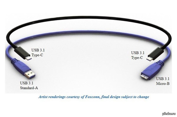 USB 3.1 Type-C USB Type-C      USB  Micro USB         10 /.   .