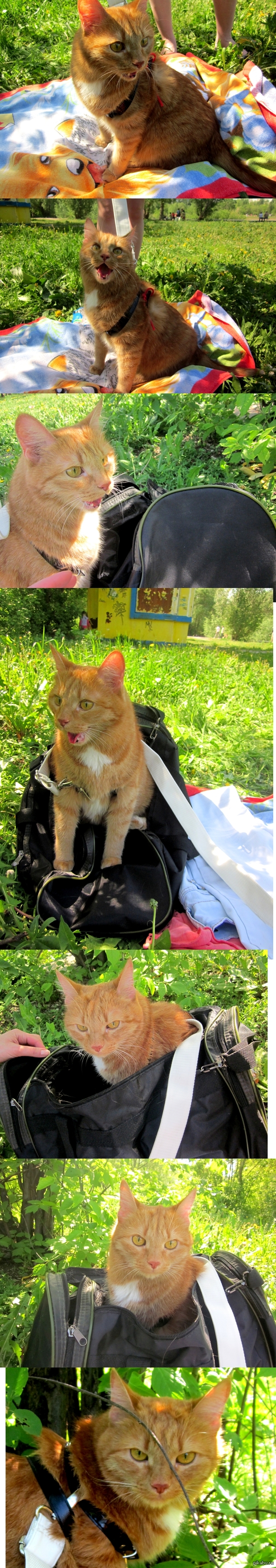 ������ ��� �� �����