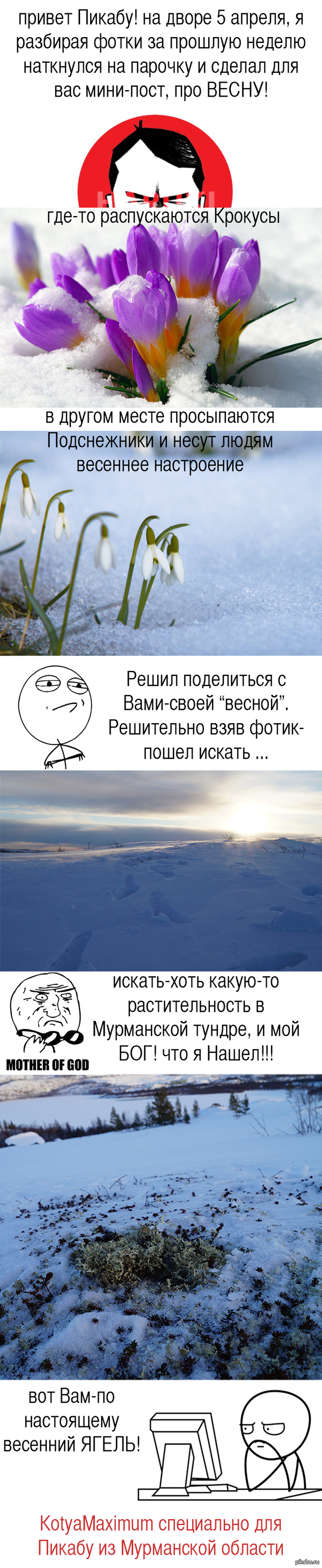 ВЕСЕННИЙ пост из Мурманской области