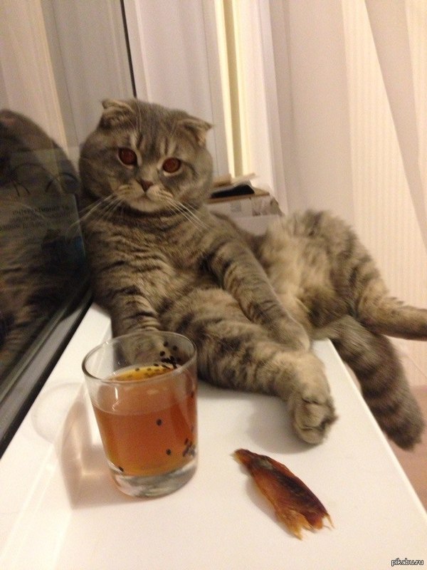 ��� ��� ��� ����� �������)