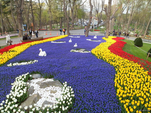 ��������� ���������.