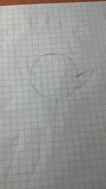    ,   ,      . 