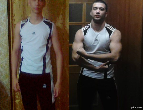 8 �������, ���������