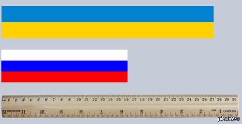 Средний половой орган у мужчин. Среднестатистический размер члена в Украине. Средний размер хуя в Украине. Размер члена в разных странах. Средний размер члена у украинцев.