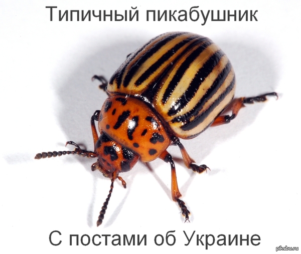 ������� ������������ ������!