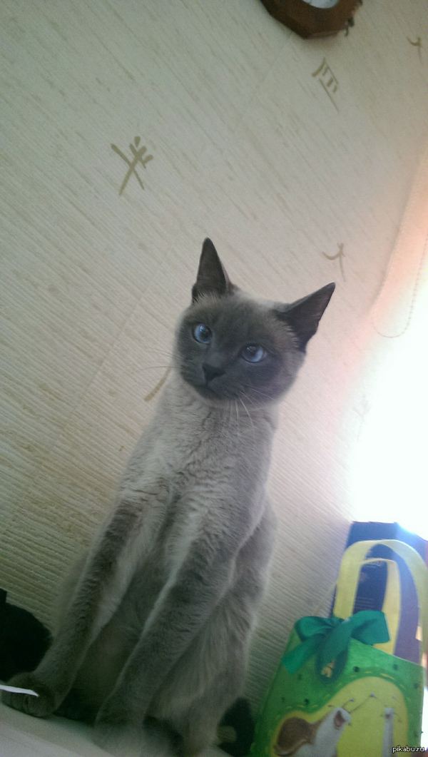 ��� �������� ����� � ���� �������� :)