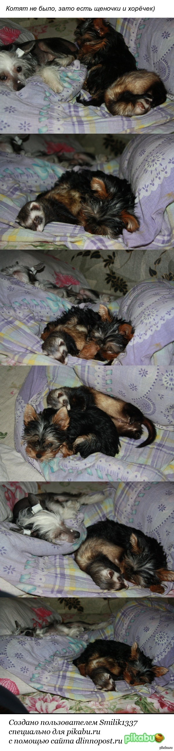 ������ ��