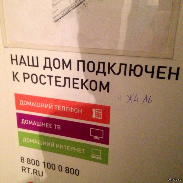 Свобода слова, как она есть