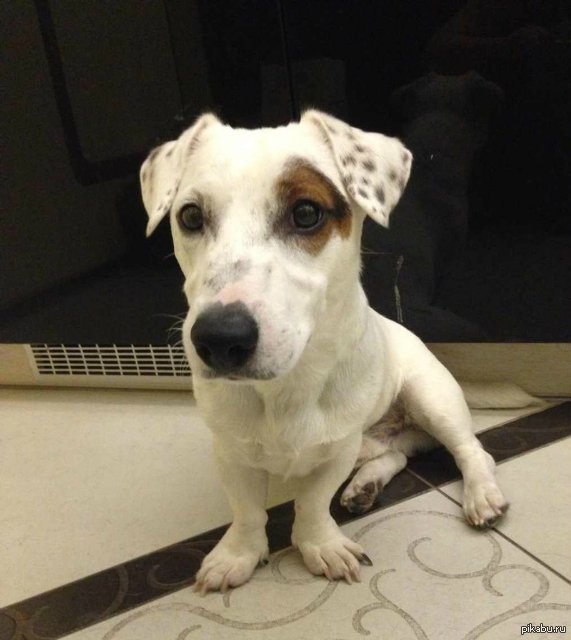 �����-���������! ����� ������ �� ���������� ������ ��� ������ �����-������!