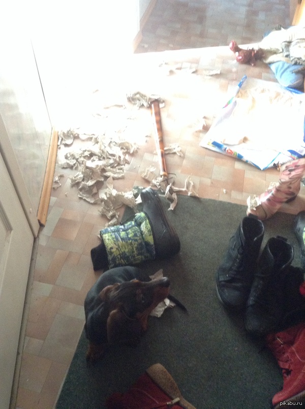   ,    .     .    ,         !!