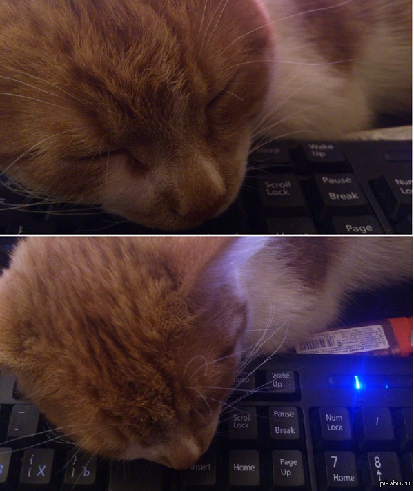 ����� ����� �� ������� ������������� �� � �������.