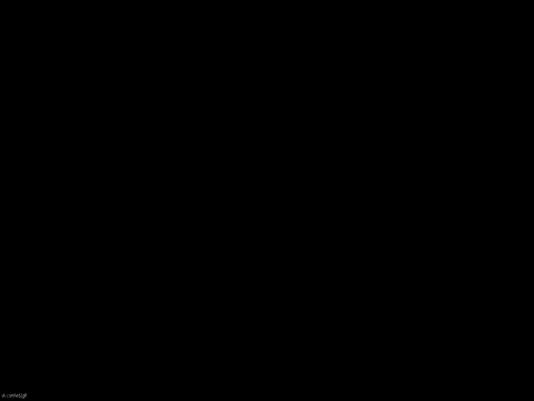    ) 