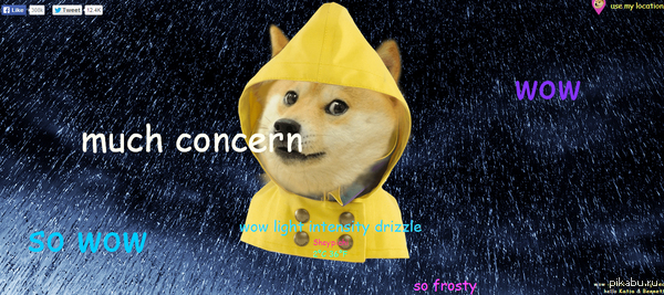        ?    dogeweather.com