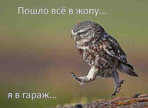 ����-�� ������, � ����-�� �����))