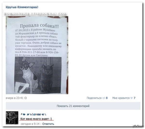 Пропала собака!!! Комент улыбнул... )