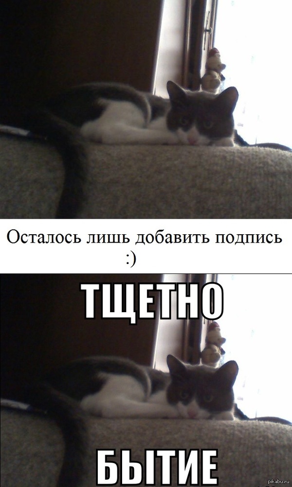 Тщетно бытие..