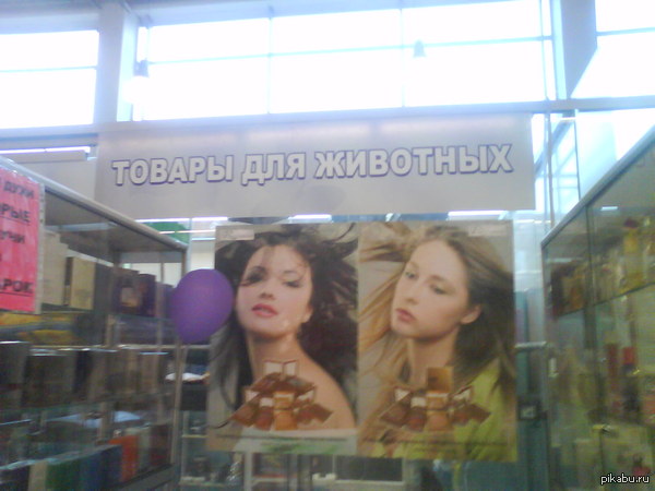 ����� ������������ (: