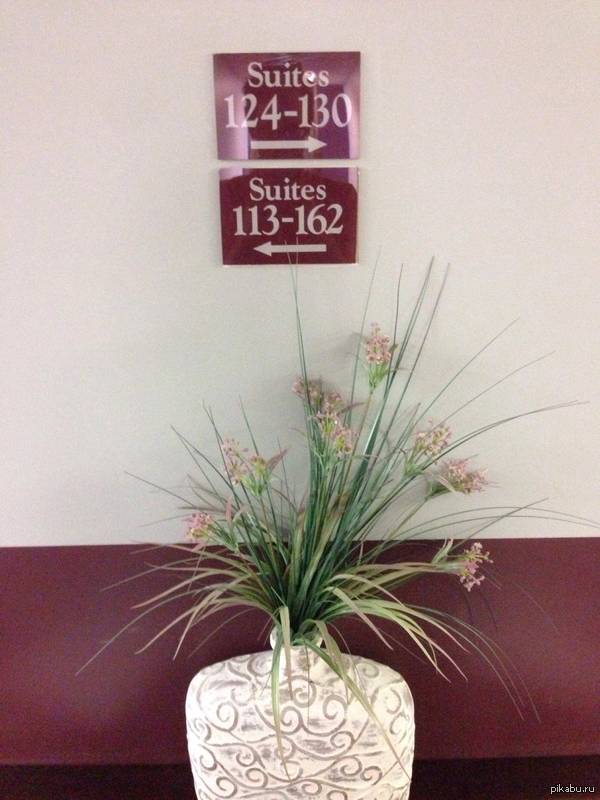 Мне нужен номер 125 | Пикабу