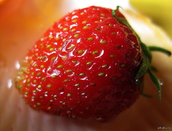 Good morning Peekaboo - NSFW, Red, Fresh, Yummy, Strawberry, Strawberry (plant)