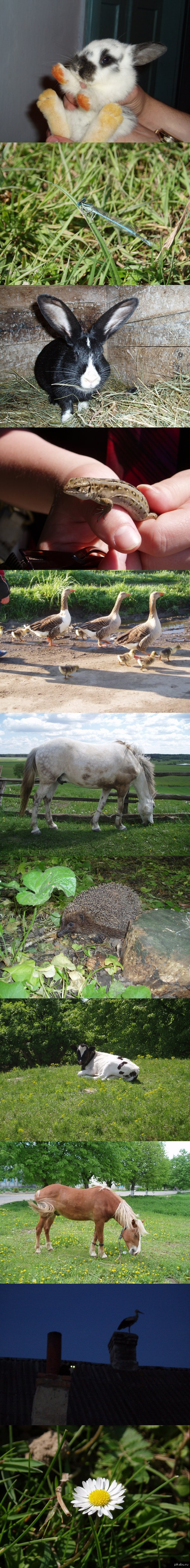 ��� ����� �������� ������ � ����.